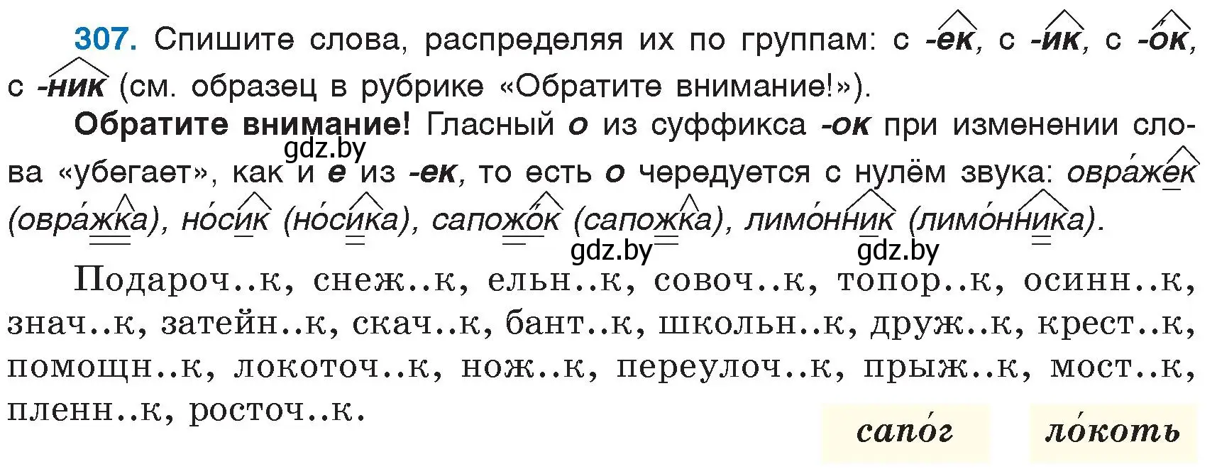 Условие номер 307 (страница 145) гдз по русскому языку 6 класс Мурина, Игнатович, учебник