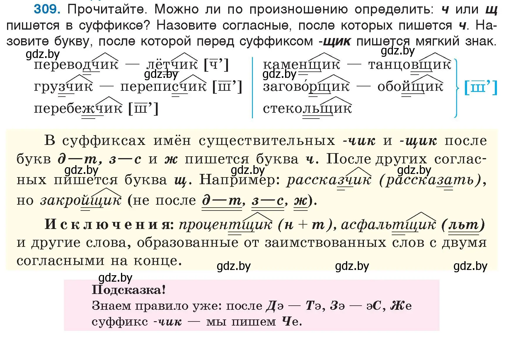 Условие номер 309 (страница 146) гдз по русскому языку 6 класс Мурина, Игнатович, учебник