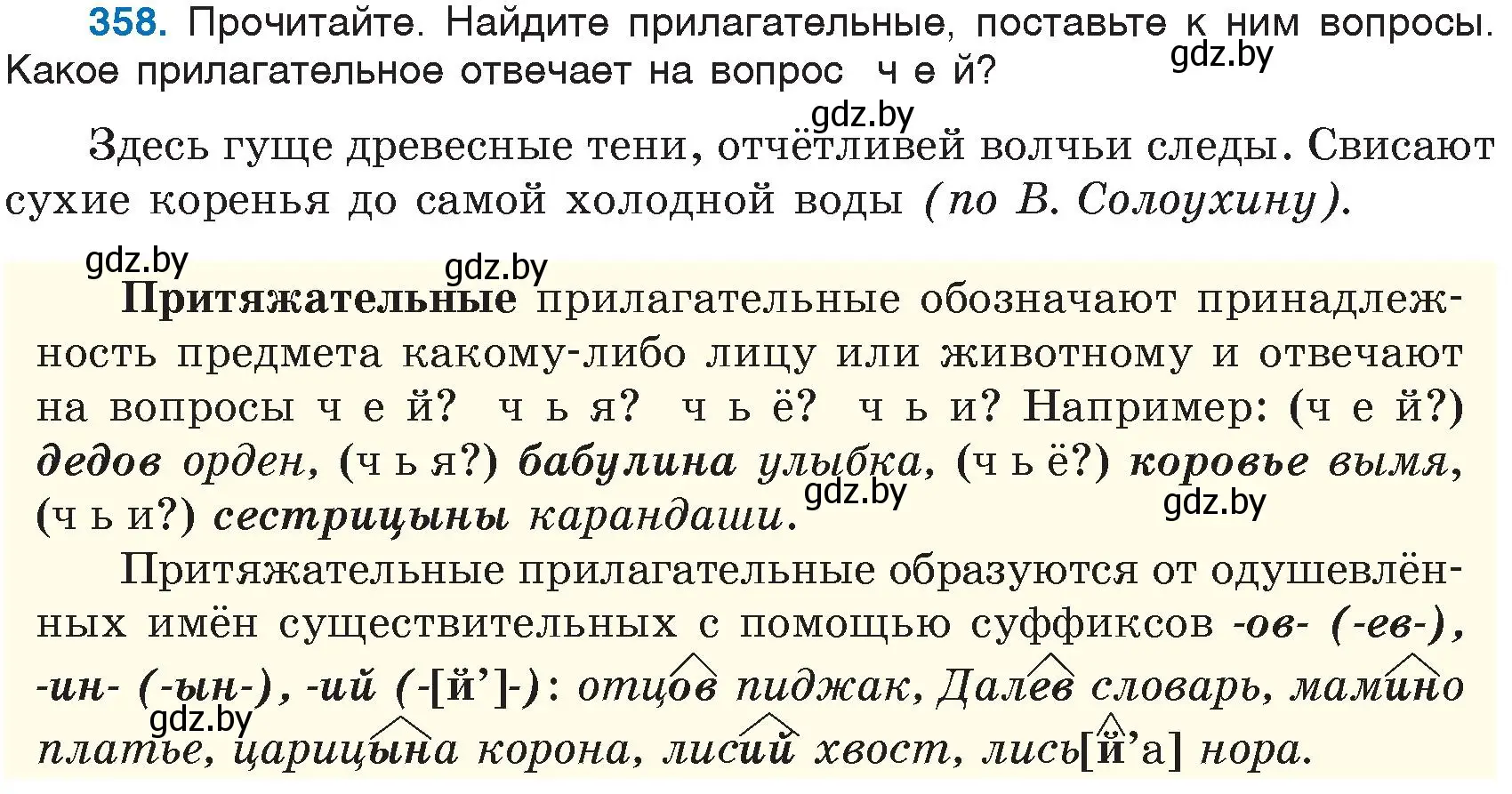 Условие номер 358 (страница 164) гдз по русскому языку 6 класс Мурина, Игнатович, учебник