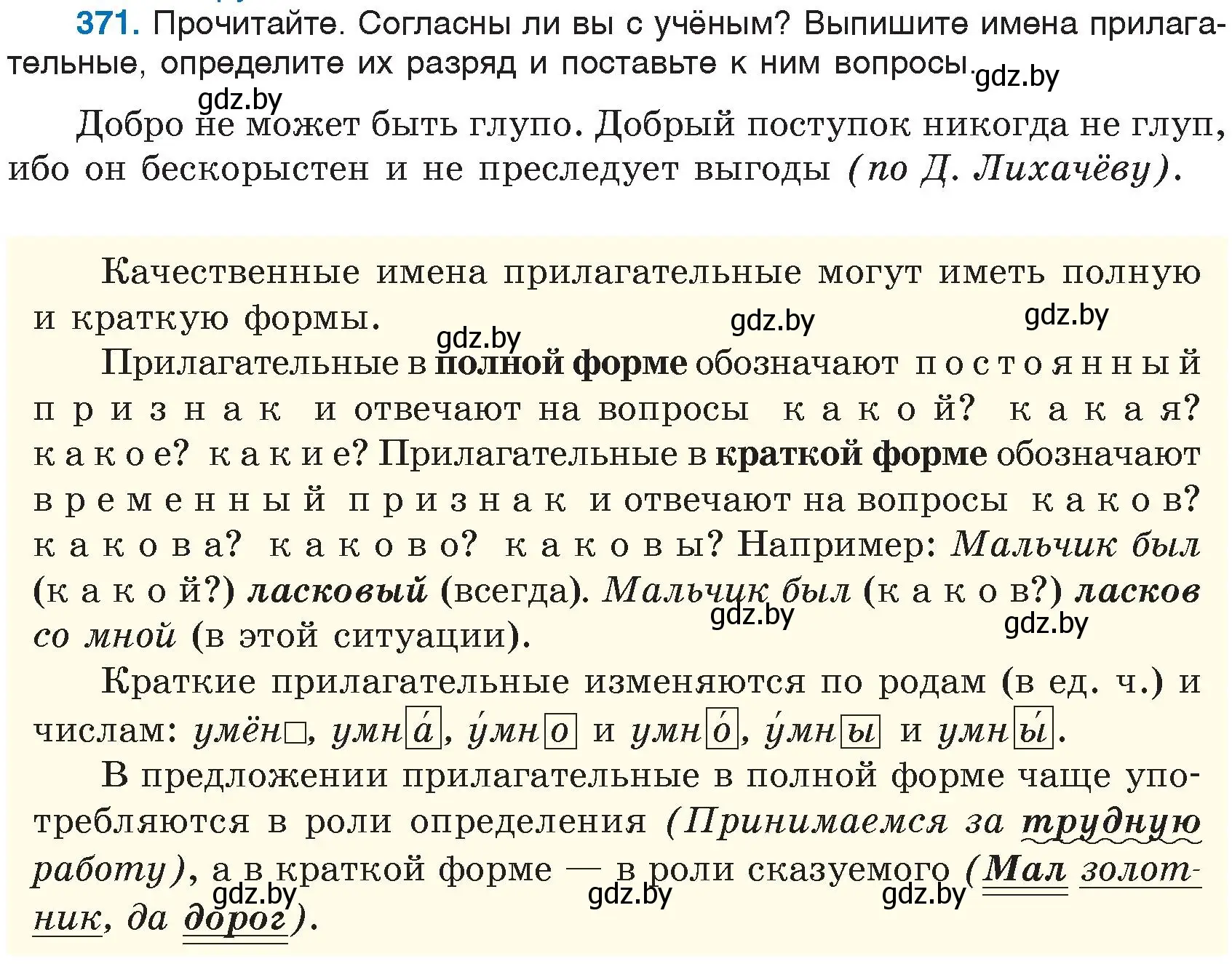 Условие номер 371 (страница 169) гдз по русскому языку 6 класс Мурина, Игнатович, учебник