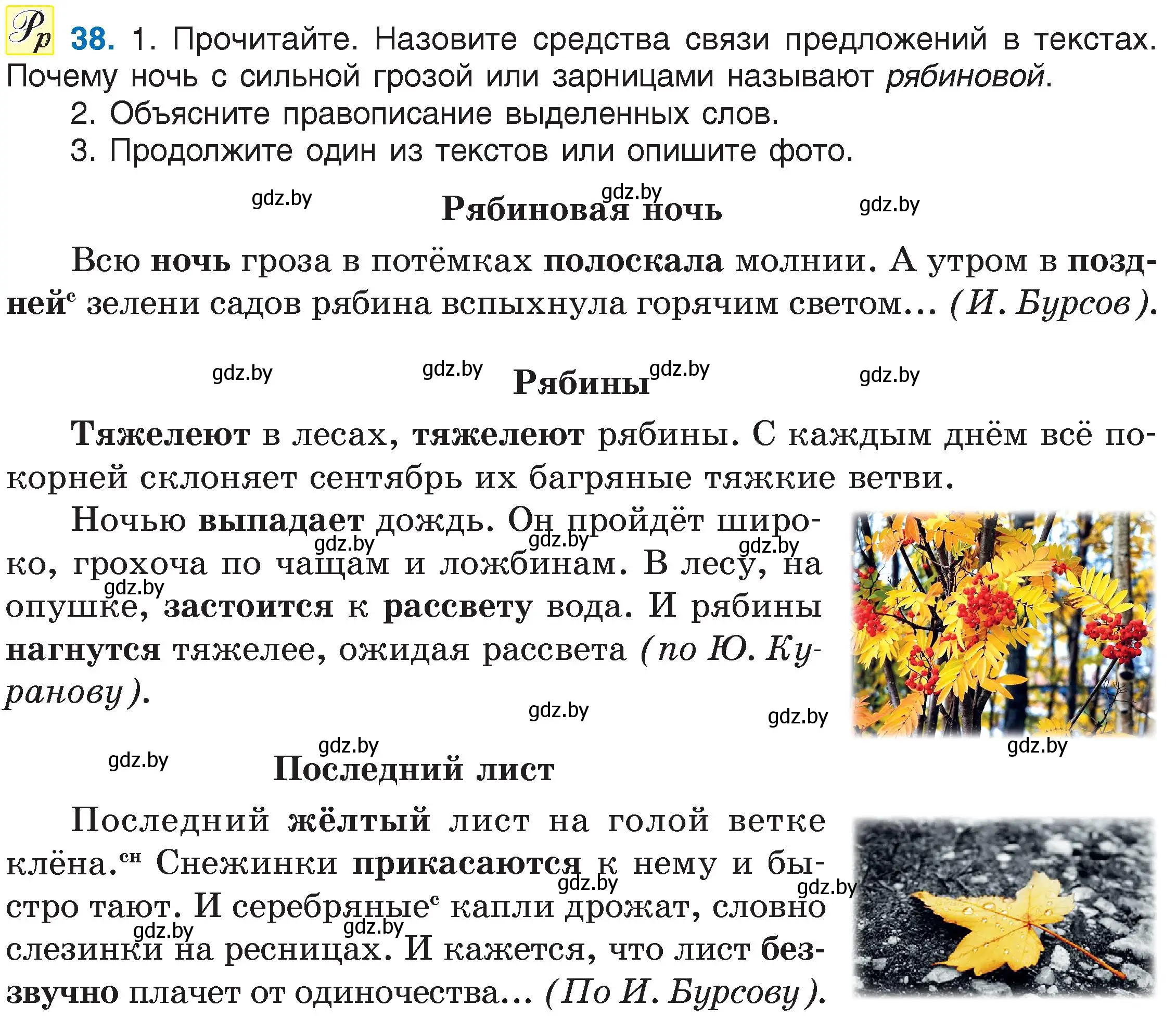 Условие номер 38 (страница 25) гдз по русскому языку 6 класс Мурина, Игнатович, учебник