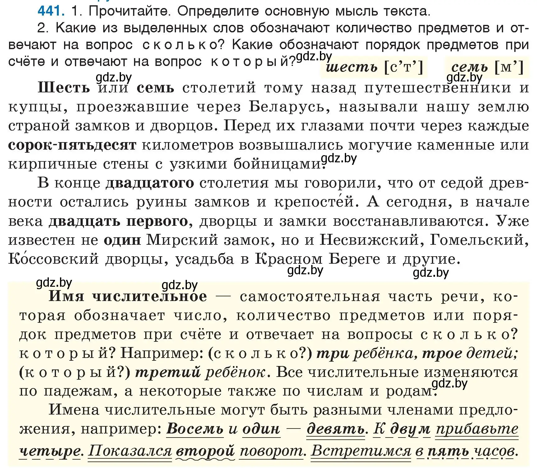 Условие номер 441 (страница 197) гдз по русскому языку 6 класс Мурина, Игнатович, учебник