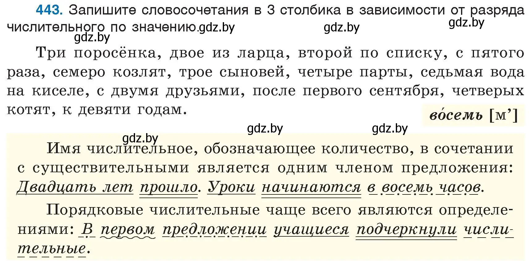 Условие номер 443 (страница 198) гдз по русскому языку 6 класс Мурина, Игнатович, учебник