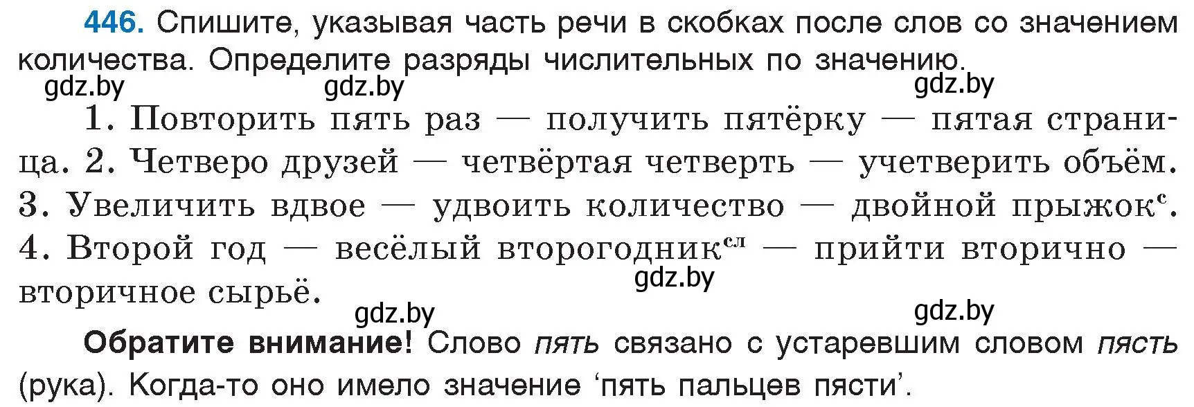 Условие номер 446 (страница 199) гдз по русскому языку 6 класс Мурина, Игнатович, учебник