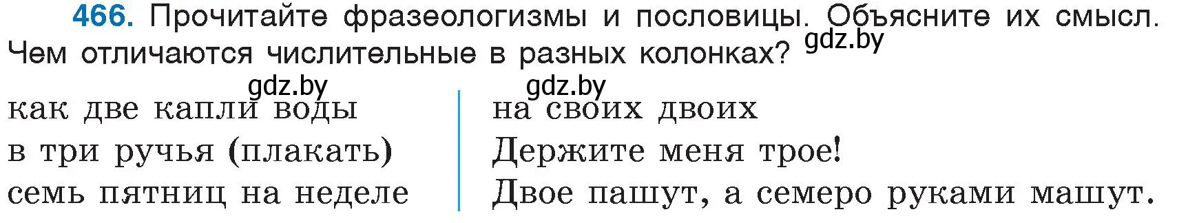 Условие номер 466 (страница 205) гдз по русскому языку 6 класс Мурина, Игнатович, учебник