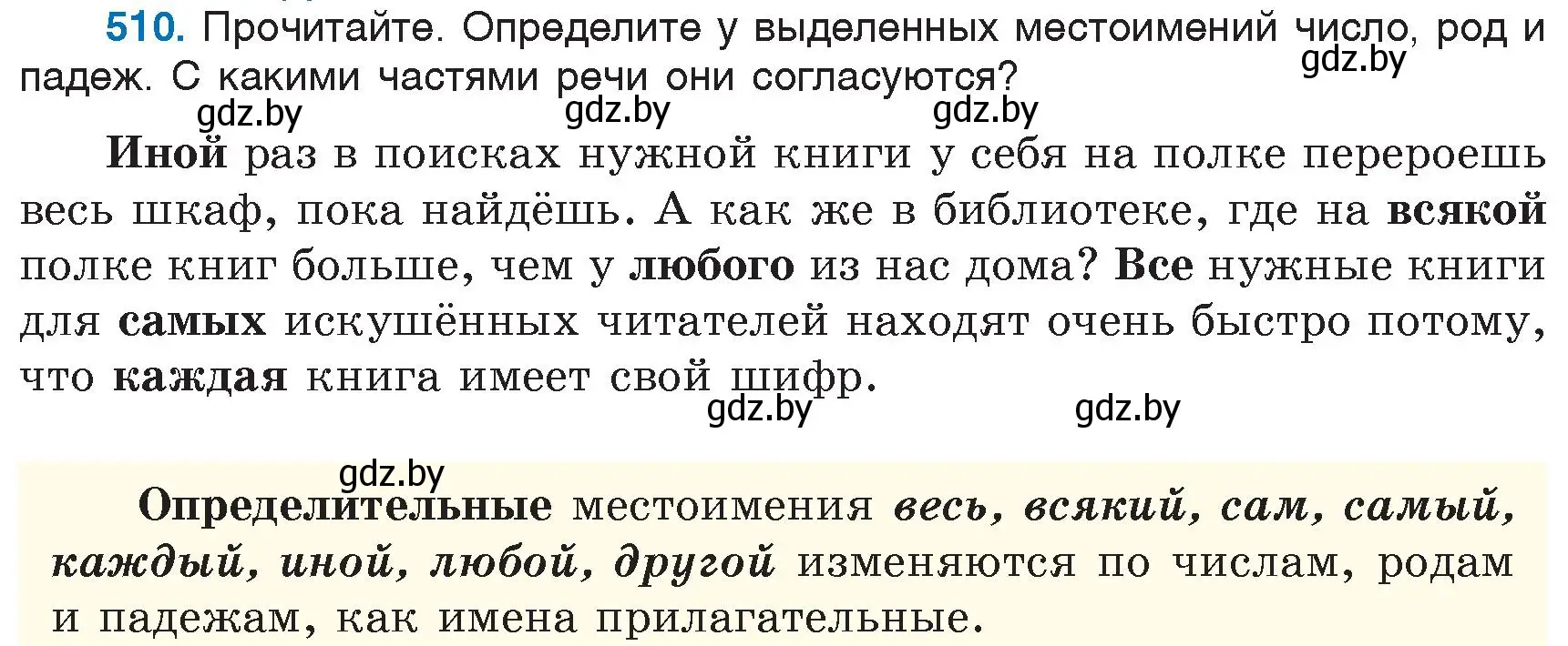 Условие номер 510 (страница 218) гдз по русскому языку 6 класс Мурина, Игнатович, учебник