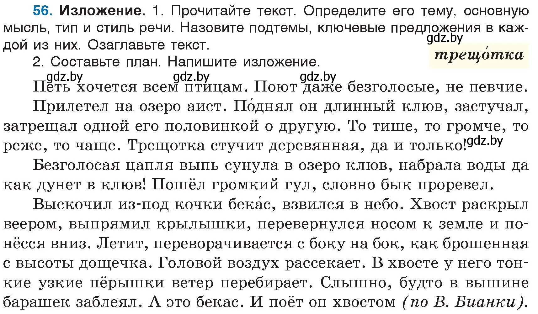 Условие номер 56 (страница 33) гдз по русскому языку 6 класс Мурина, Игнатович, учебник