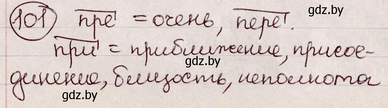 Решение номер 101 (страница 52) гдз по русскому языку 6 класс Мурина, Игнатович, учебник