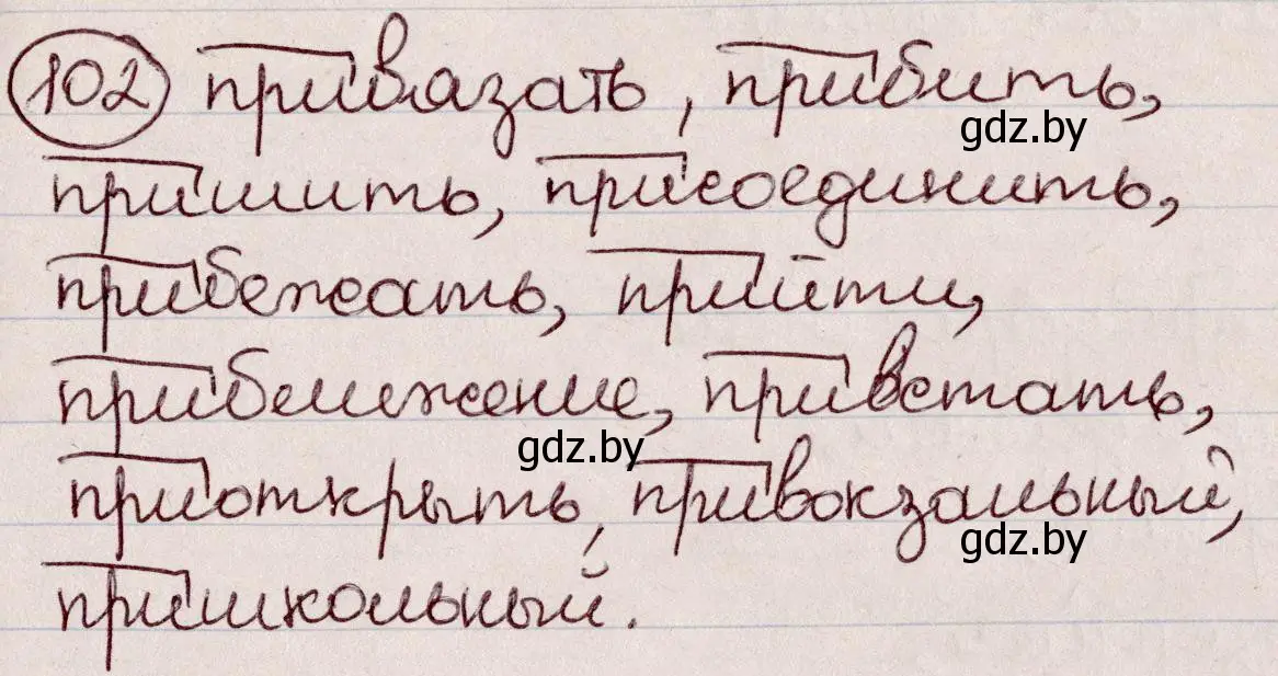 Решение номер 102 (страница 52) гдз по русскому языку 6 класс Мурина, Игнатович, учебник