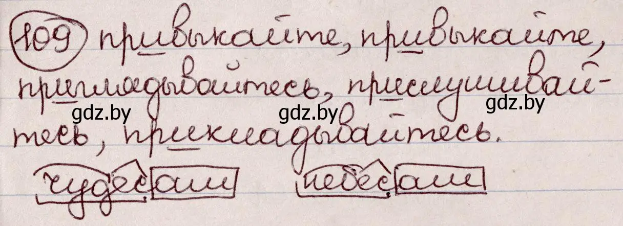 Решение номер 109 (страница 55) гдз по русскому языку 6 класс Мурина, Игнатович, учебник