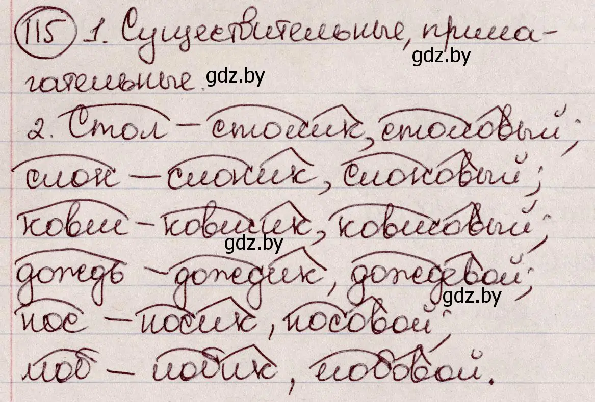 Решение номер 115 (страница 59) гдз по русскому языку 6 класс Мурина, Игнатович, учебник