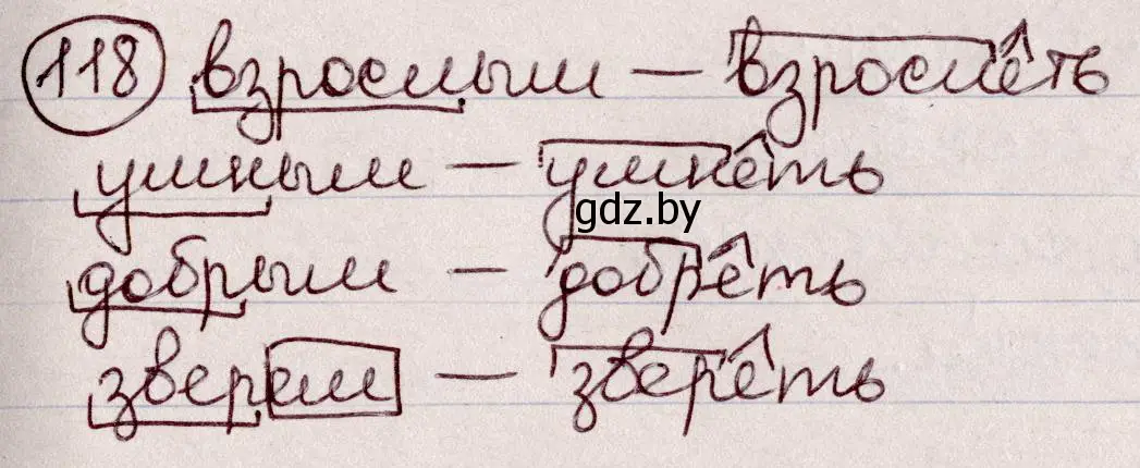 Решение номер 118 (страница 59) гдз по русскому языку 6 класс Мурина, Игнатович, учебник