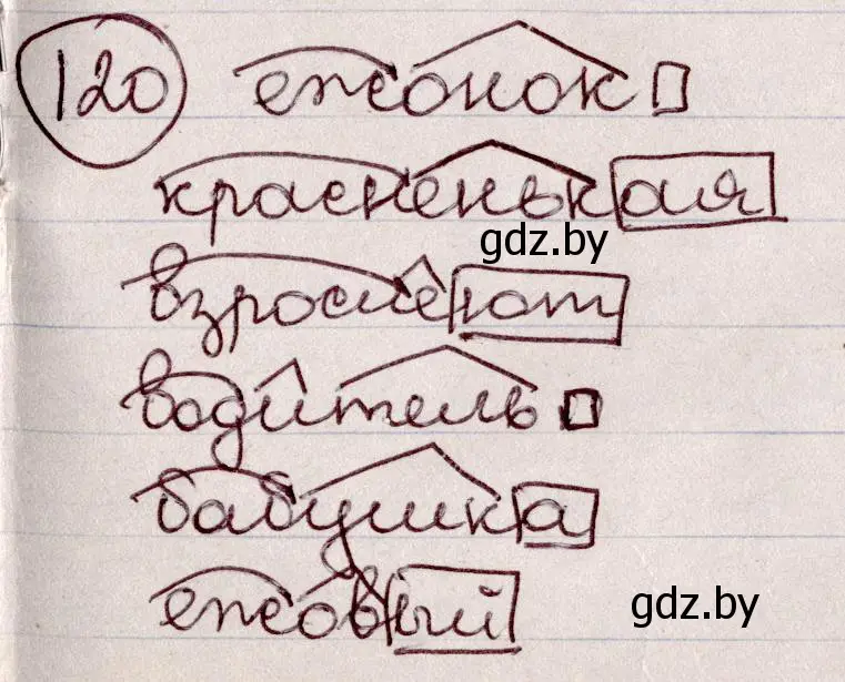 Решение номер 120 (страница 60) гдз по русскому языку 6 класс Мурина, Игнатович, учебник