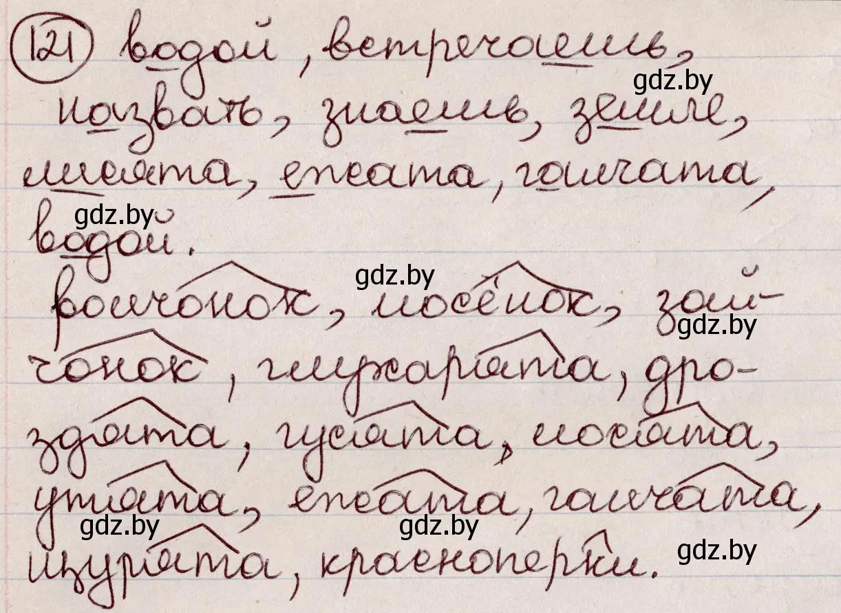 Решение номер 121 (страница 60) гдз по русскому языку 6 класс Мурина, Игнатович, учебник