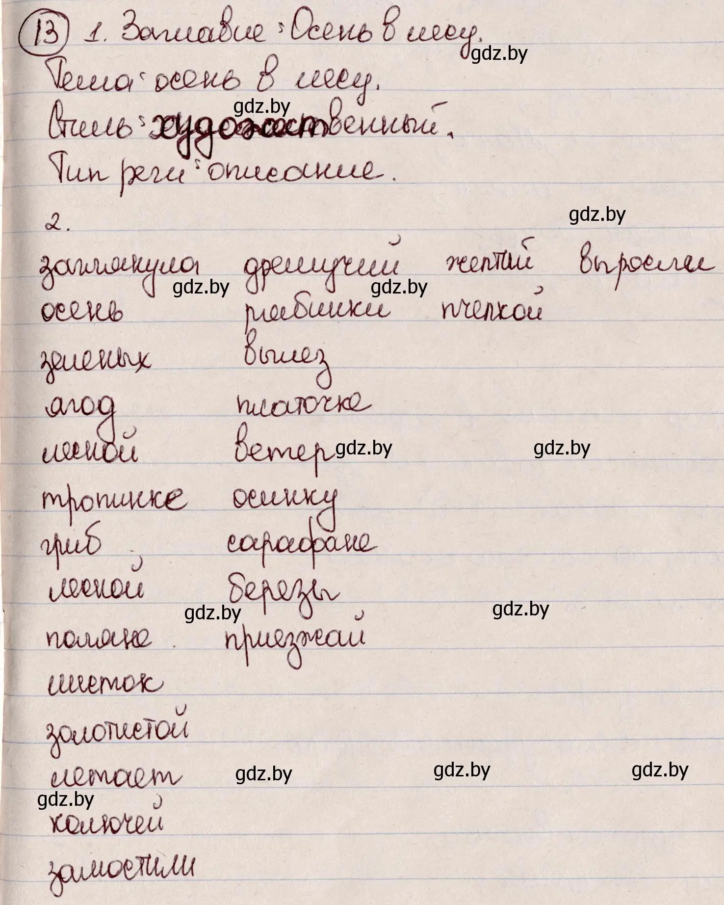 Решение номер 13 (страница 10) гдз по русскому языку 6 класс Мурина, Игнатович, учебник