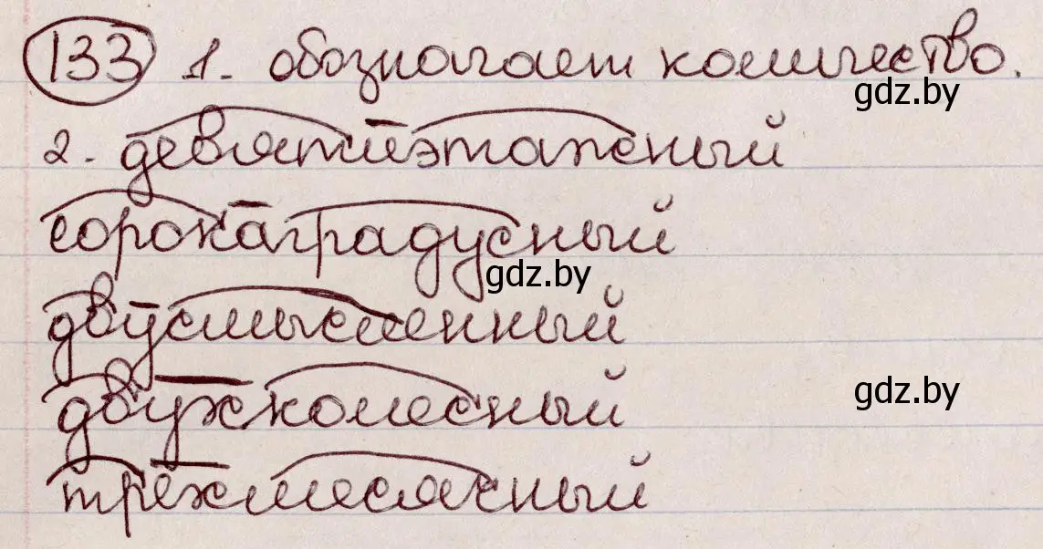 Решение номер 133 (страница 65) гдз по русскому языку 6 класс Мурина, Игнатович, учебник