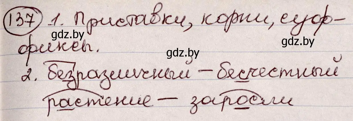 Решение номер 137 (страница 67) гдз по русскому языку 6 класс Мурина, Игнатович, учебник