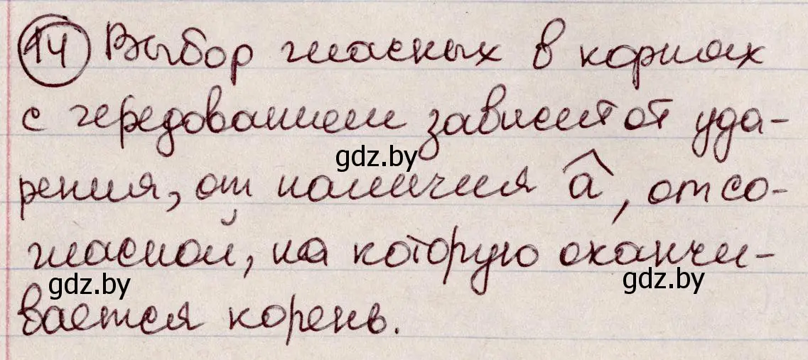 Решение номер 14 (страница 11) гдз по русскому языку 6 класс Мурина, Игнатович, учебник