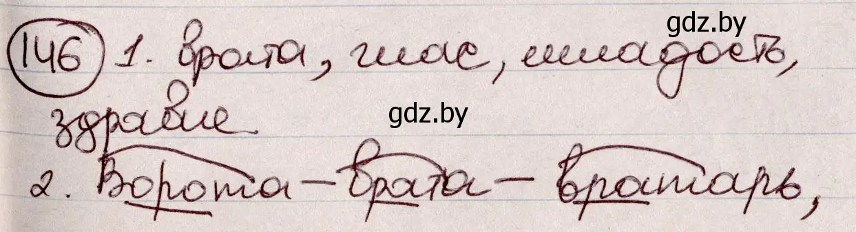 Решение номер 146 (страница 70) гдз по русскому языку 6 класс Мурина, Игнатович, учебник