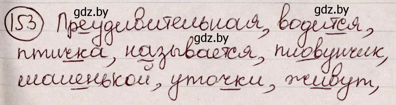 Решение номер 153 (страница 72) гдз по русскому языку 6 класс Мурина, Игнатович, учебник