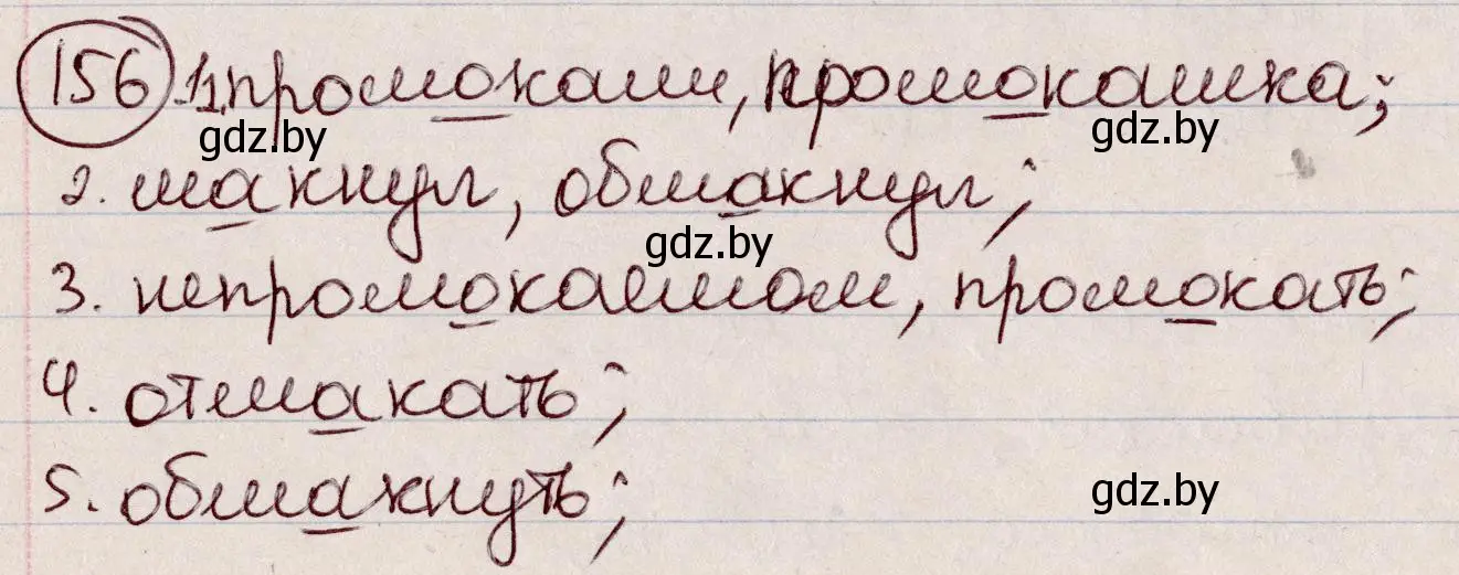 Решение номер 156 (страница 74) гдз по русскому языку 6 класс Мурина, Игнатович, учебник