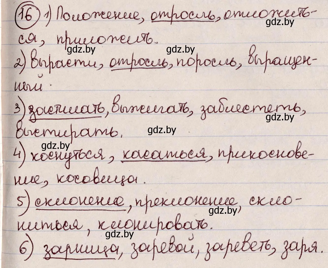 Решение номер 16 (страница 12) гдз по русскому языку 6 класс Мурина, Игнатович, учебник