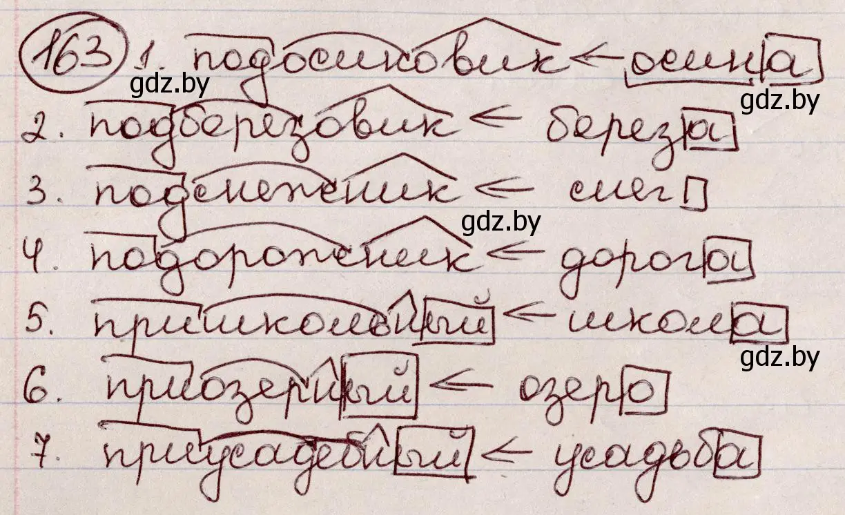 Решение номер 163 (страница 77) гдз по русскому языку 6 класс Мурина, Игнатович, учебник