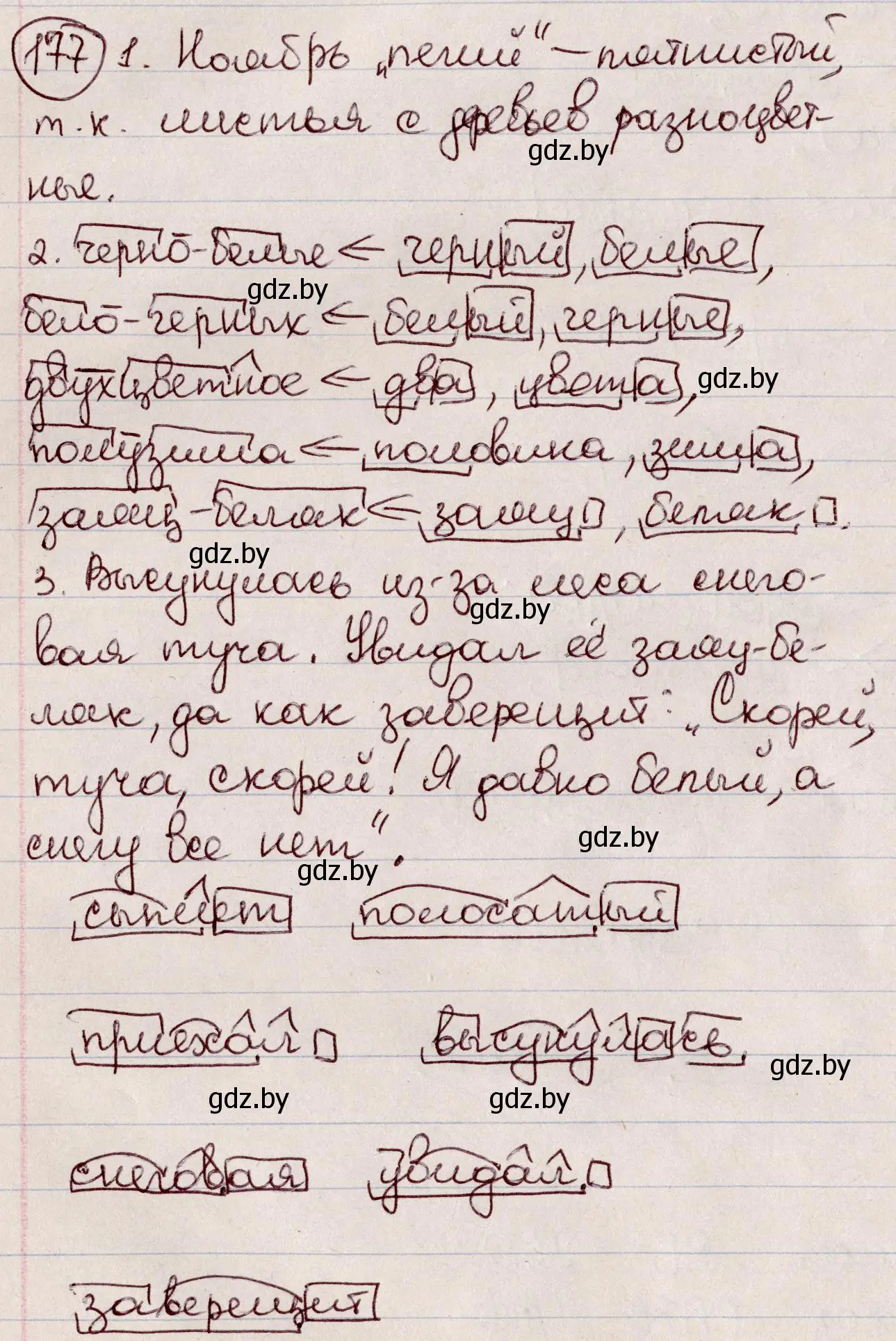 Решение номер 177 (страница 82) гдз по русскому языку 6 класс Мурина, Игнатович, учебник