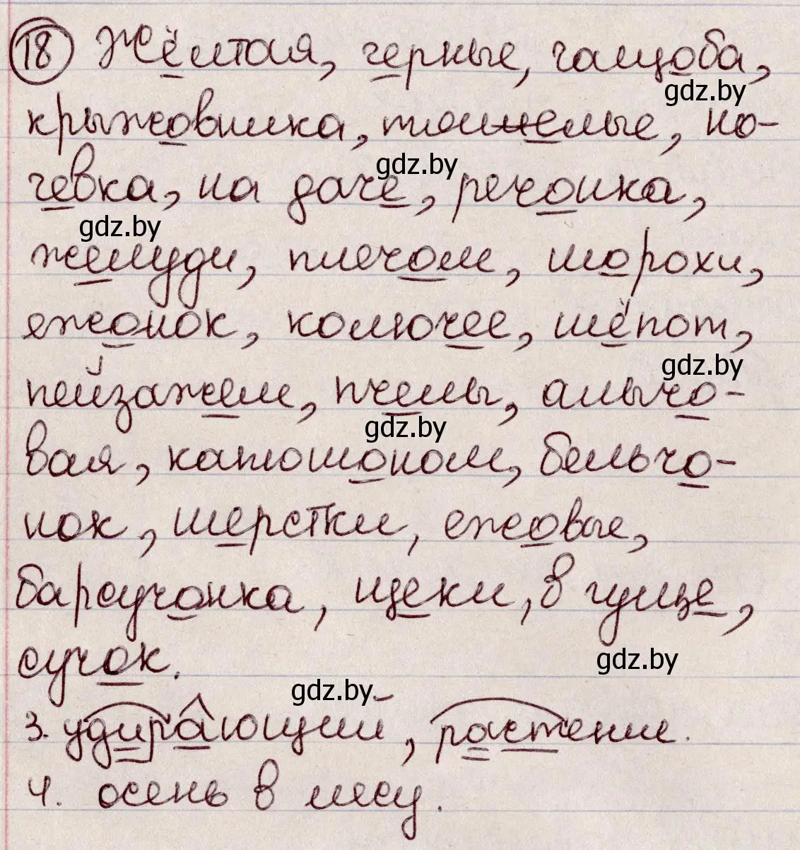 Решение номер 18 (страница 13) гдз по русскому языку 6 класс Мурина, Игнатович, учебник