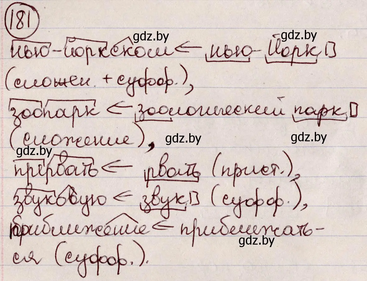 Решение номер 181 (страница 84) гдз по русскому языку 6 класс Мурина, Игнатович, учебник
