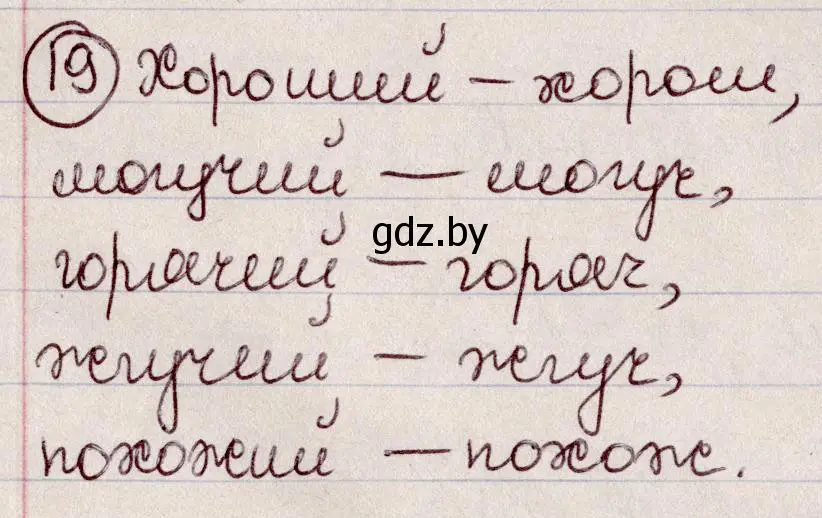 Решение номер 19 (страница 14) гдз по русскому языку 6 класс Мурина, Игнатович, учебник