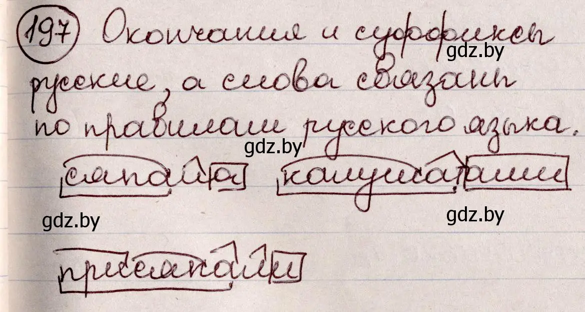 Решение номер 197 (страница 93) гдз по русскому языку 6 класс Мурина, Игнатович, учебник