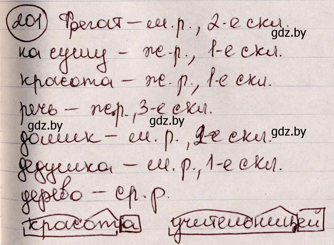 Решение номер 201 (страница 96) гдз по русскому языку 6 класс Мурина, Игнатович, учебник