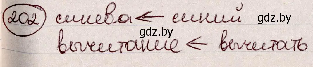 Решение номер 202 (страница 97) гдз по русскому языку 6 класс Мурина, Игнатович, учебник