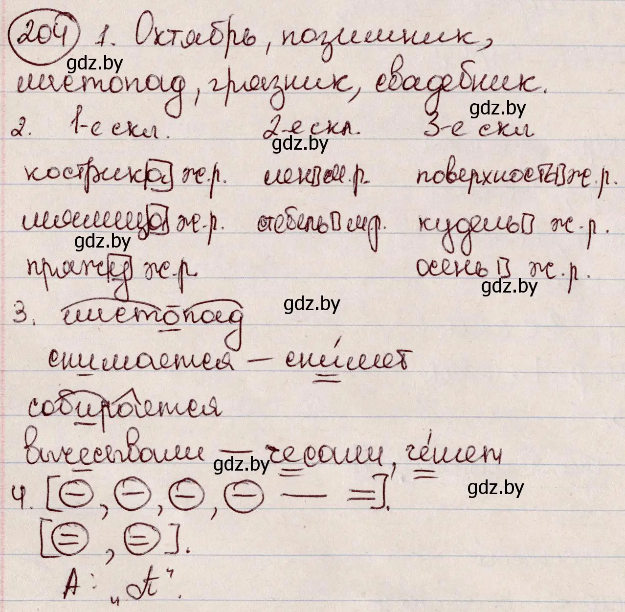 Решение номер 204 (страница 98) гдз по русскому языку 6 класс Мурина, Игнатович, учебник