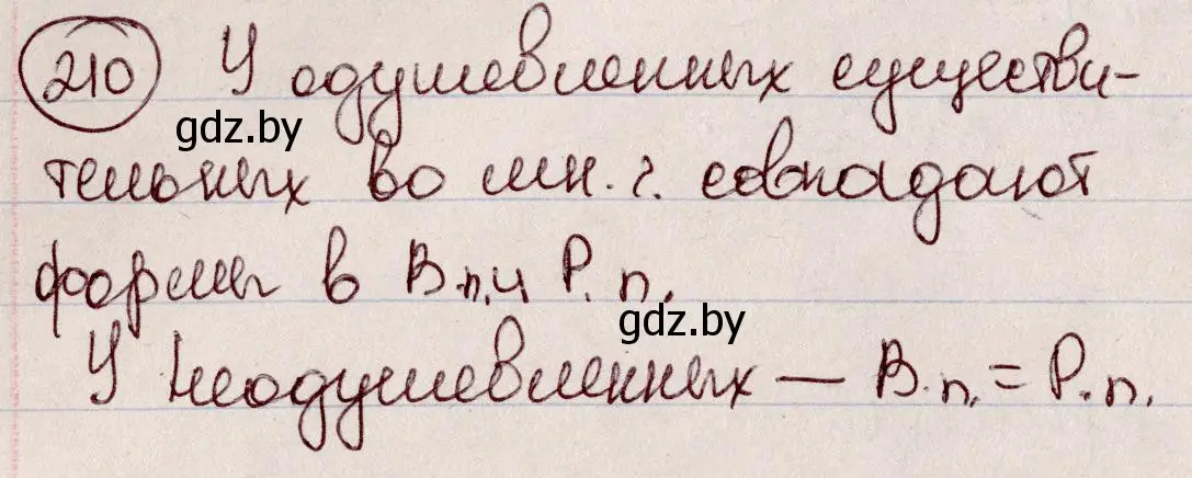 Решение номер 210 (страница 101) гдз по русскому языку 6 класс Мурина, Игнатович, учебник