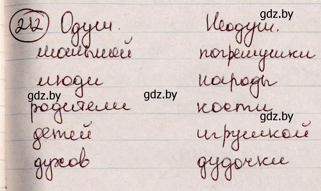 Решение номер 212 (страница 101) гдз по русскому языку 6 класс Мурина, Игнатович, учебник