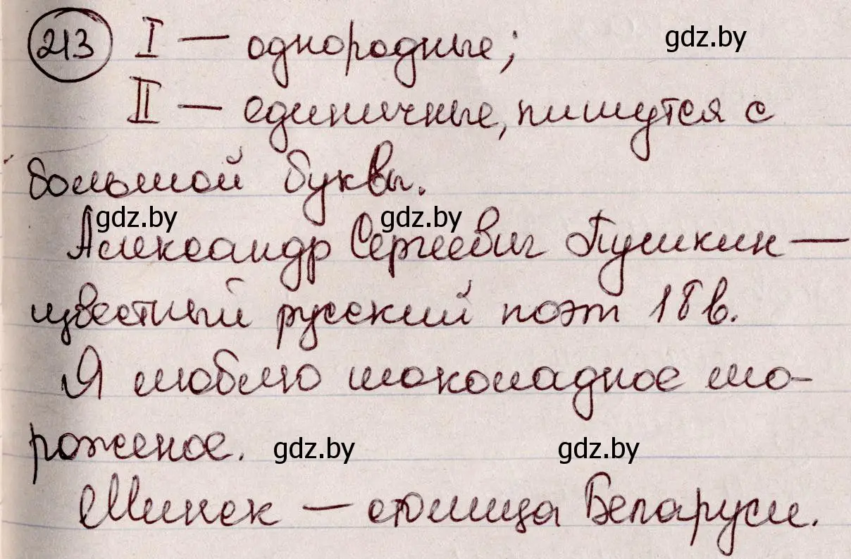 Решение номер 213 (страница 102) гдз по русскому языку 6 класс Мурина, Игнатович, учебник