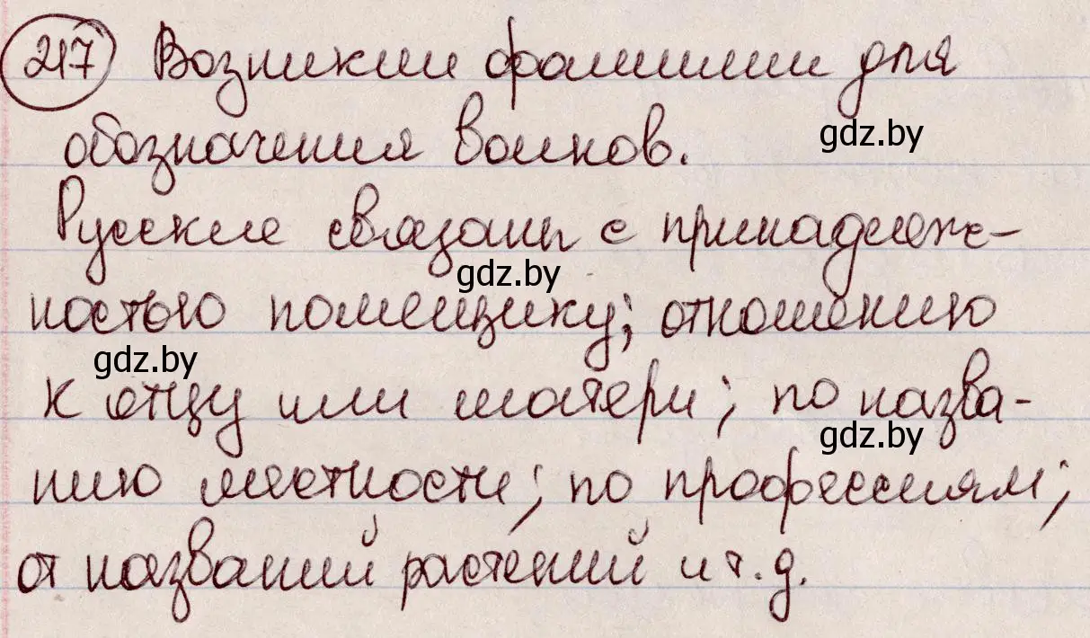 Решение номер 217 (страница 105) гдз по русскому языку 6 класс Мурина, Игнатович, учебник