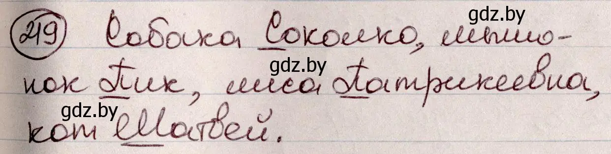 Решение номер 219 (страница 105) гдз по русскому языку 6 класс Мурина, Игнатович, учебник