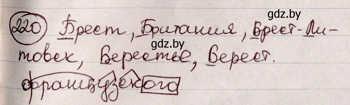 Решение номер 220 (страница 106) гдз по русскому языку 6 класс Мурина, Игнатович, учебник