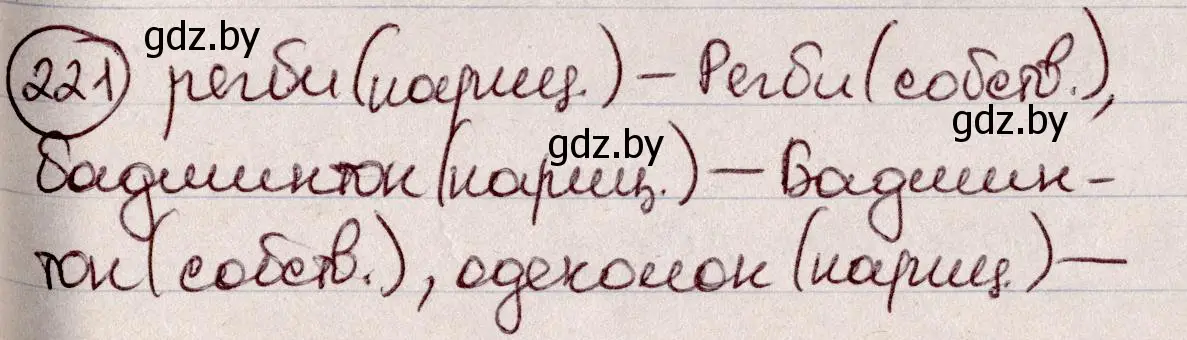 Решение номер 221 (страница 106) гдз по русскому языку 6 класс Мурина, Игнатович, учебник