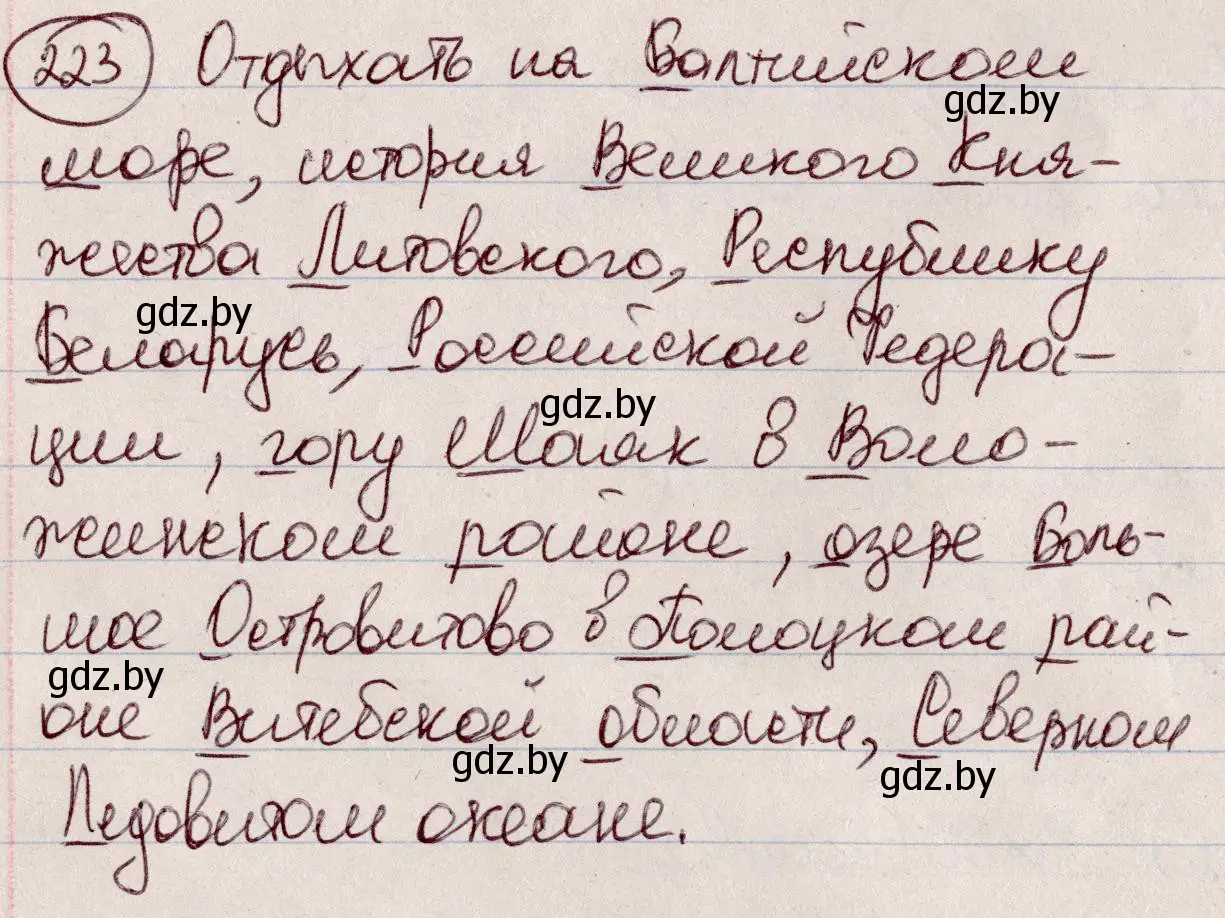 Решение номер 223 (страница 108) гдз по русскому языку 6 класс Мурина, Игнатович, учебник