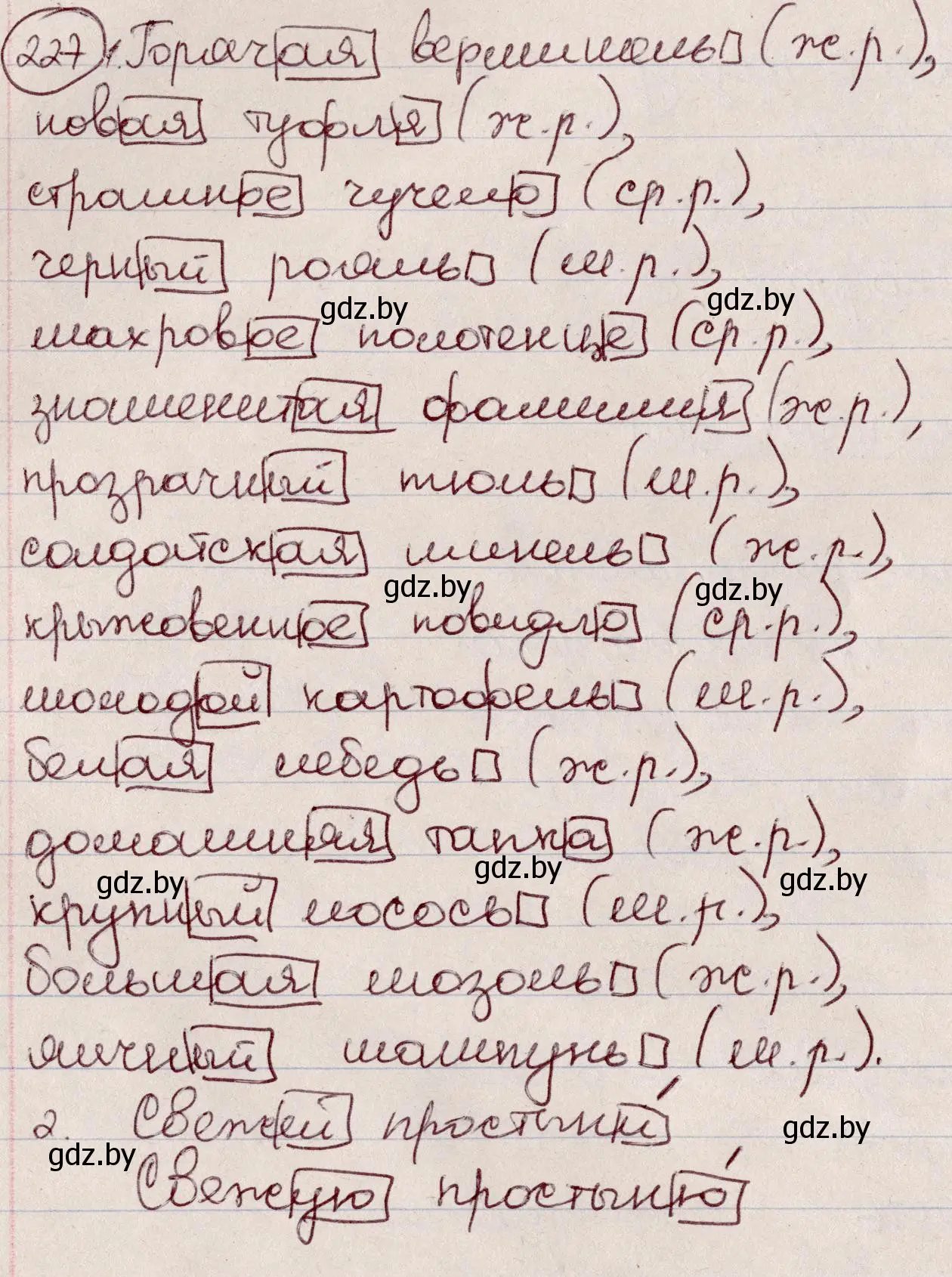 Решение номер 227 (страница 109) гдз по русскому языку 6 класс Мурина, Игнатович, учебник