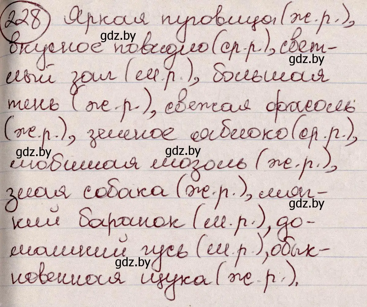 Решение номер 228 (страница 110) гдз по русскому языку 6 класс Мурина, Игнатович, учебник