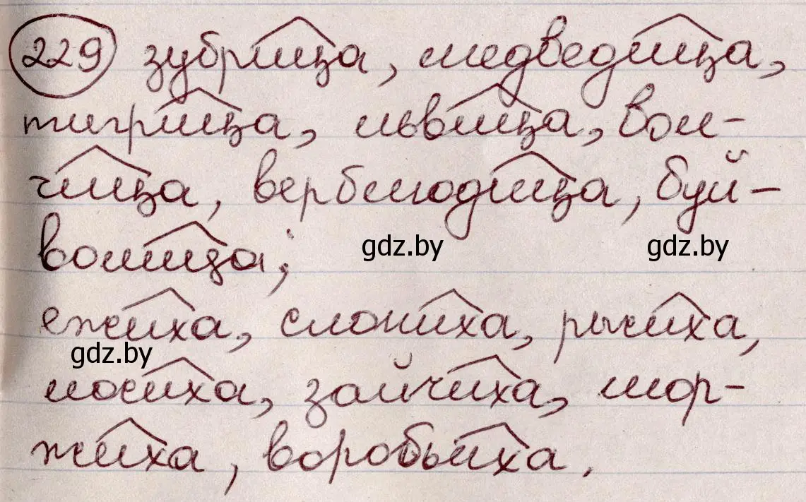 Решение номер 229 (страница 110) гдз по русскому языку 6 класс Мурина, Игнатович, учебник