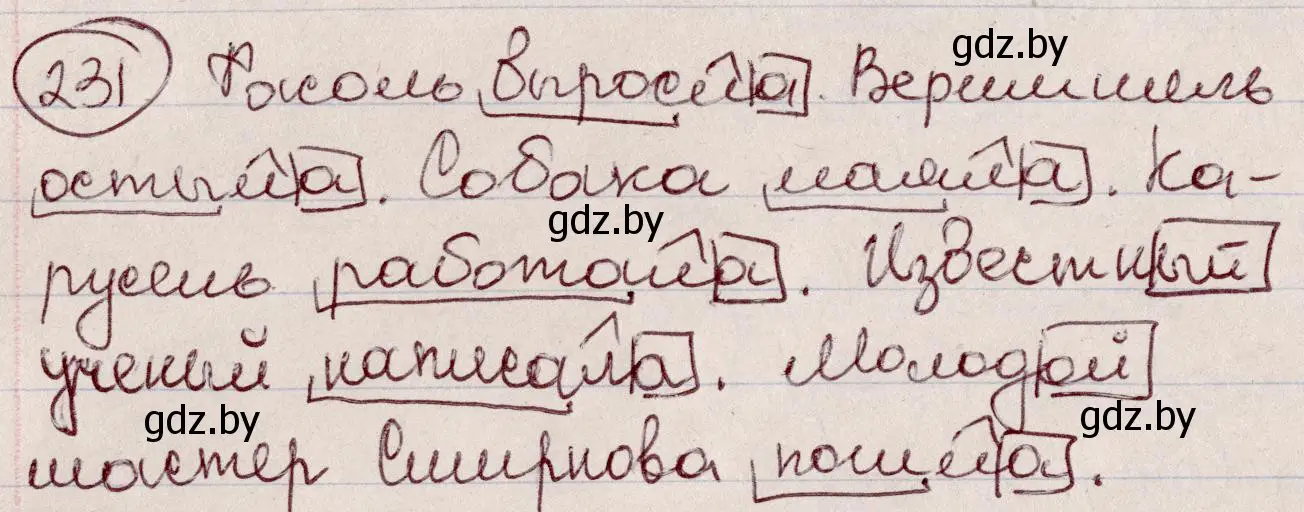 Решение номер 231 (страница 110) гдз по русскому языку 6 класс Мурина, Игнатович, учебник