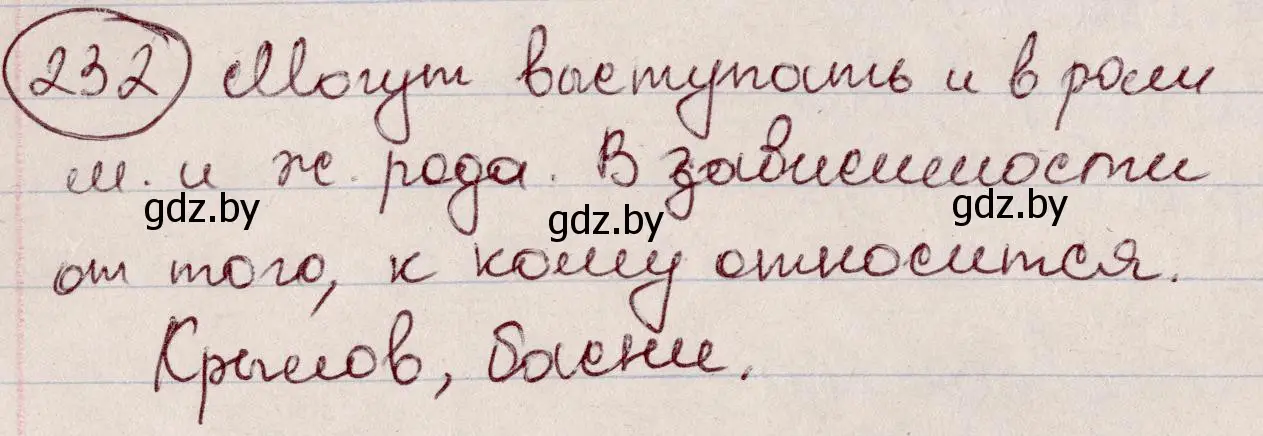 Решение номер 232 (страница 111) гдз по русскому языку 6 класс Мурина, Игнатович, учебник