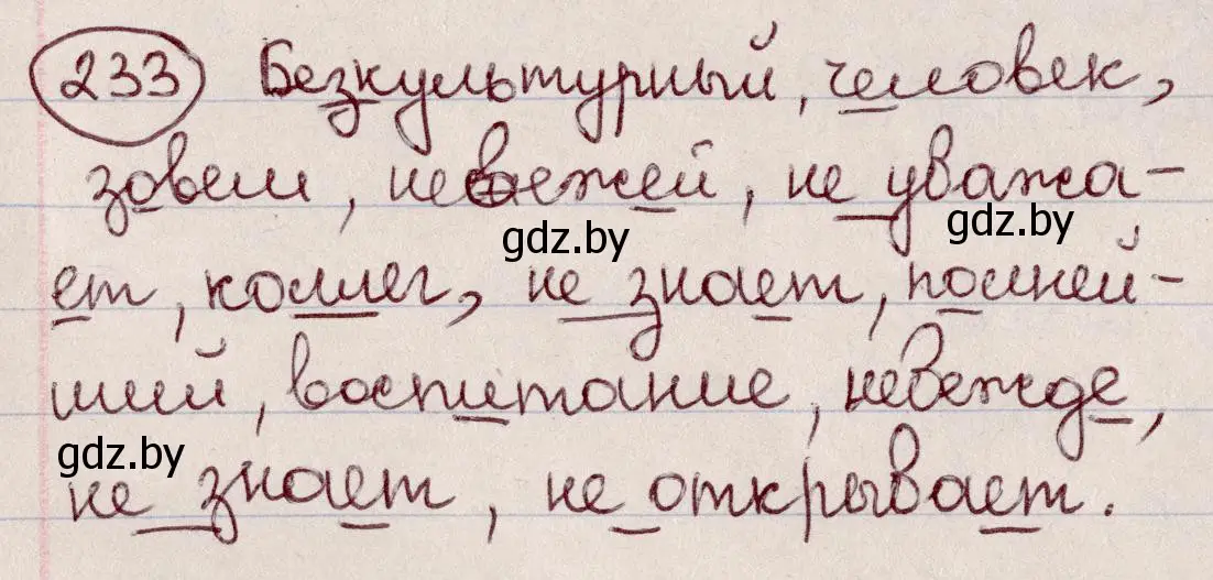 Решение номер 233 (страница 111) гдз по русскому языку 6 класс Мурина, Игнатович, учебник