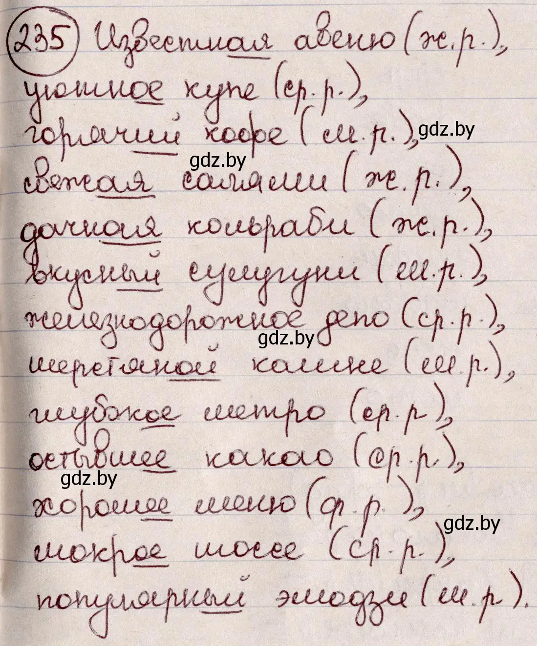 Решение номер 235 (страница 113) гдз по русскому языку 6 класс Мурина, Игнатович, учебник